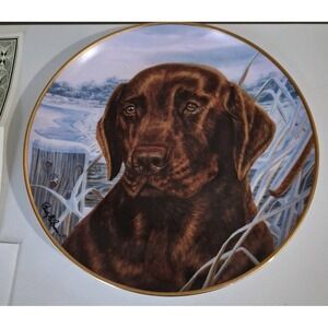 Franklin Mint Labrador Retriever Fine Porcelain Collector Plate Afternoon Watch